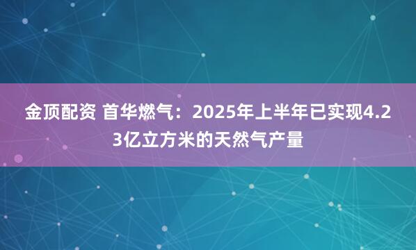 金顶配资 首华燃气：2025年上半年已实现4.23亿立方米的天然气产量