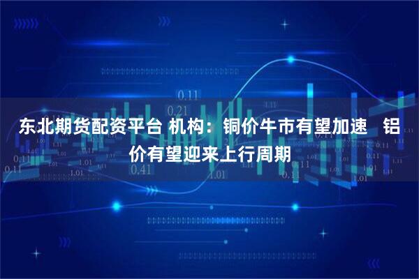 东北期货配资平台 机构：铜价牛市有望加速   铝价有望迎来上行周期