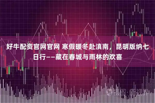 好牛配资官网官网 寒假暖冬赴滇南，昆明版纳七日行——藏在春城与雨林的欢喜